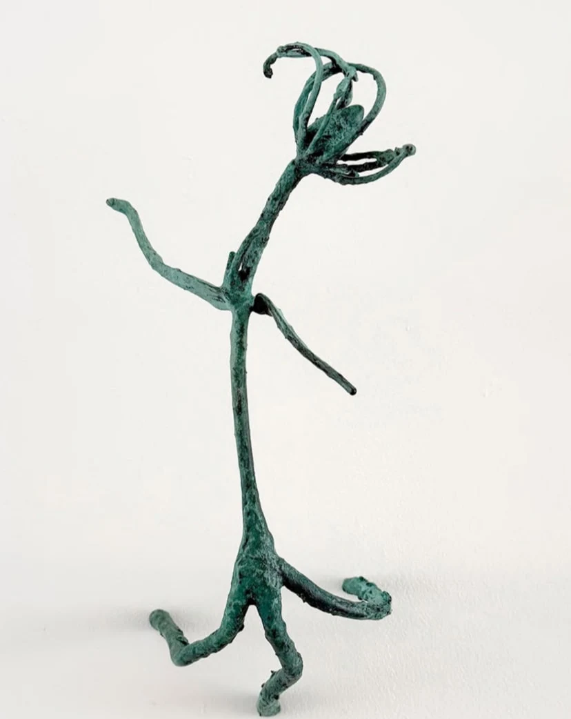 Hyperaccumulator (8)